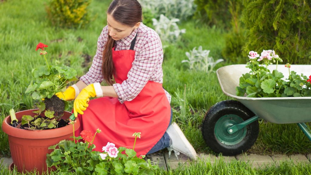 4. O Ritual do Plantio: Cada Semente, um Recomeço - inspiração 1