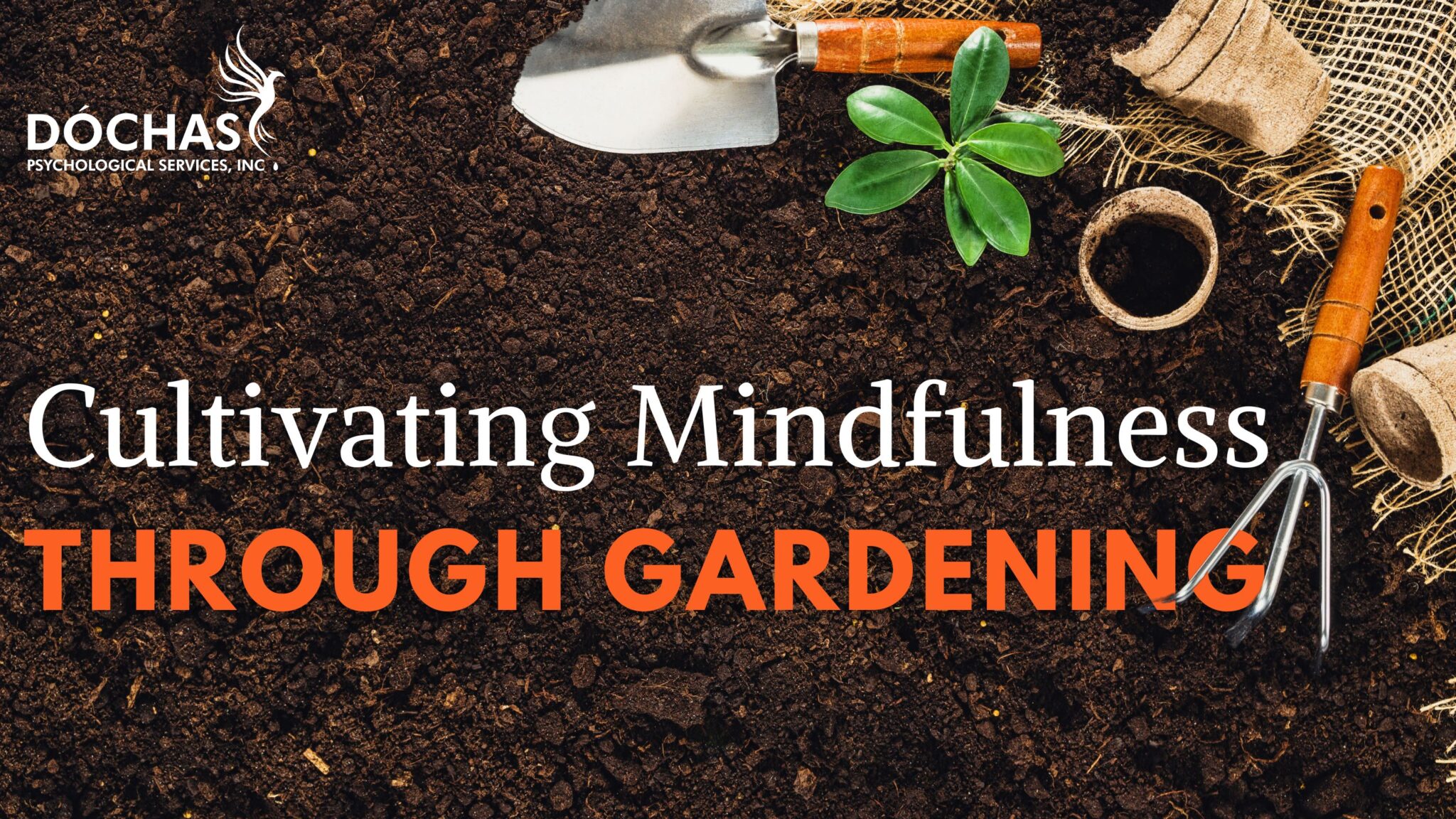 6. Cuidando das Folhas e Flores: Observando o Crescimento - inspiração 2