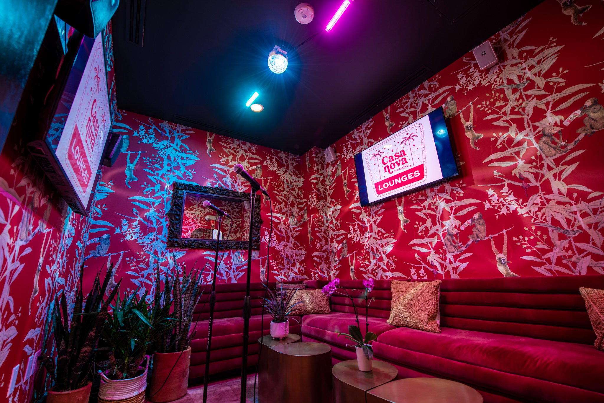 Configurando a Iluminação: Crie o Clima de Palco em Casa - inspiração 2