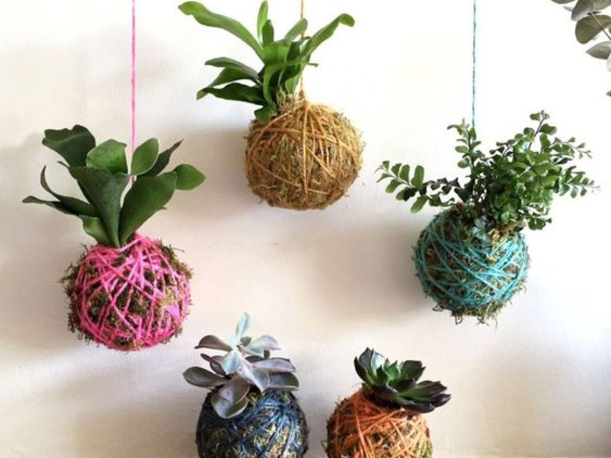 Entendendo a Essência do Kokedama: Mais que um Vaso - inspiração 1