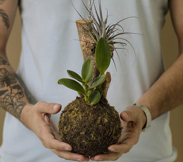 Moldando a Bola de Musgo: Técnica e Paciência - inspiração 1