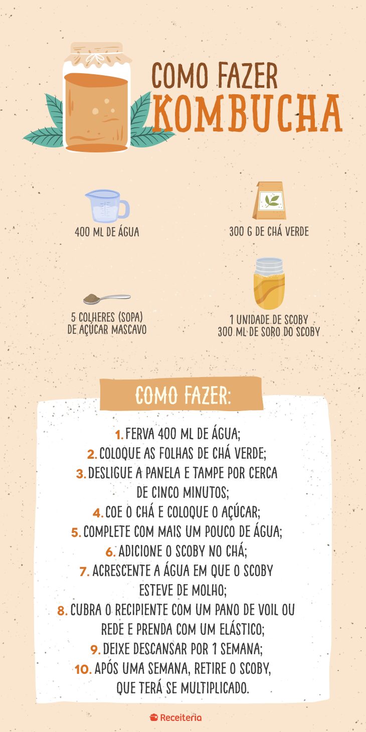 O que é o SCOBY e Como Cuidar Dele? - inspiração 2