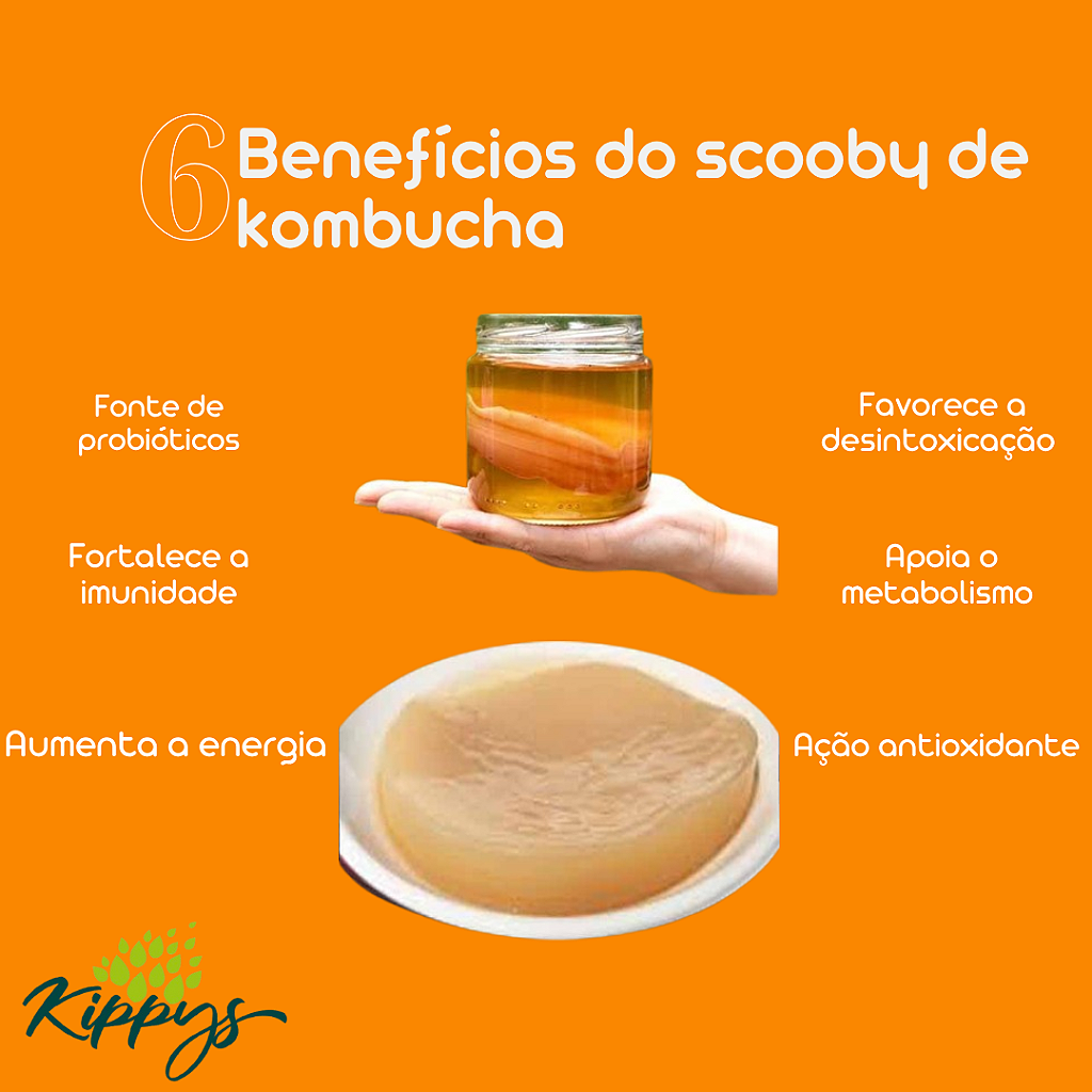 Solucionando Problemas Comuns na Produção Caseira - inspiração 2