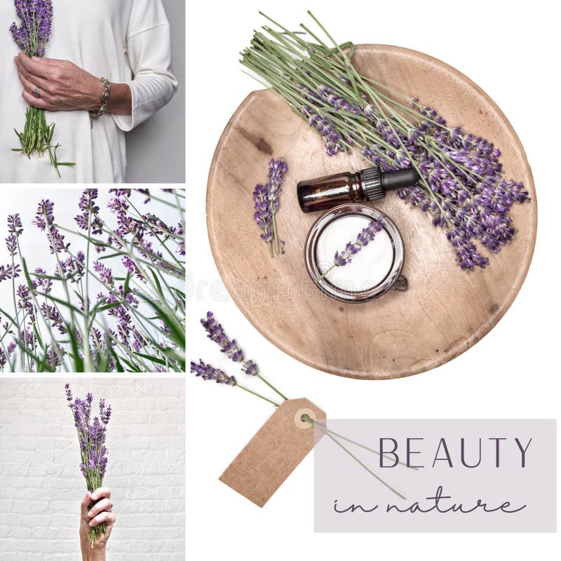 Um Banho de Frescor: Lavanda para Revitalizar sua Pele - inspiração 2