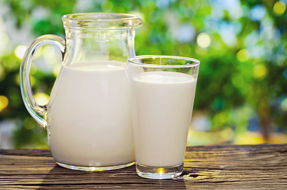 Leite Morno vs. Outras Bebidas Calmantes - inspiração 1