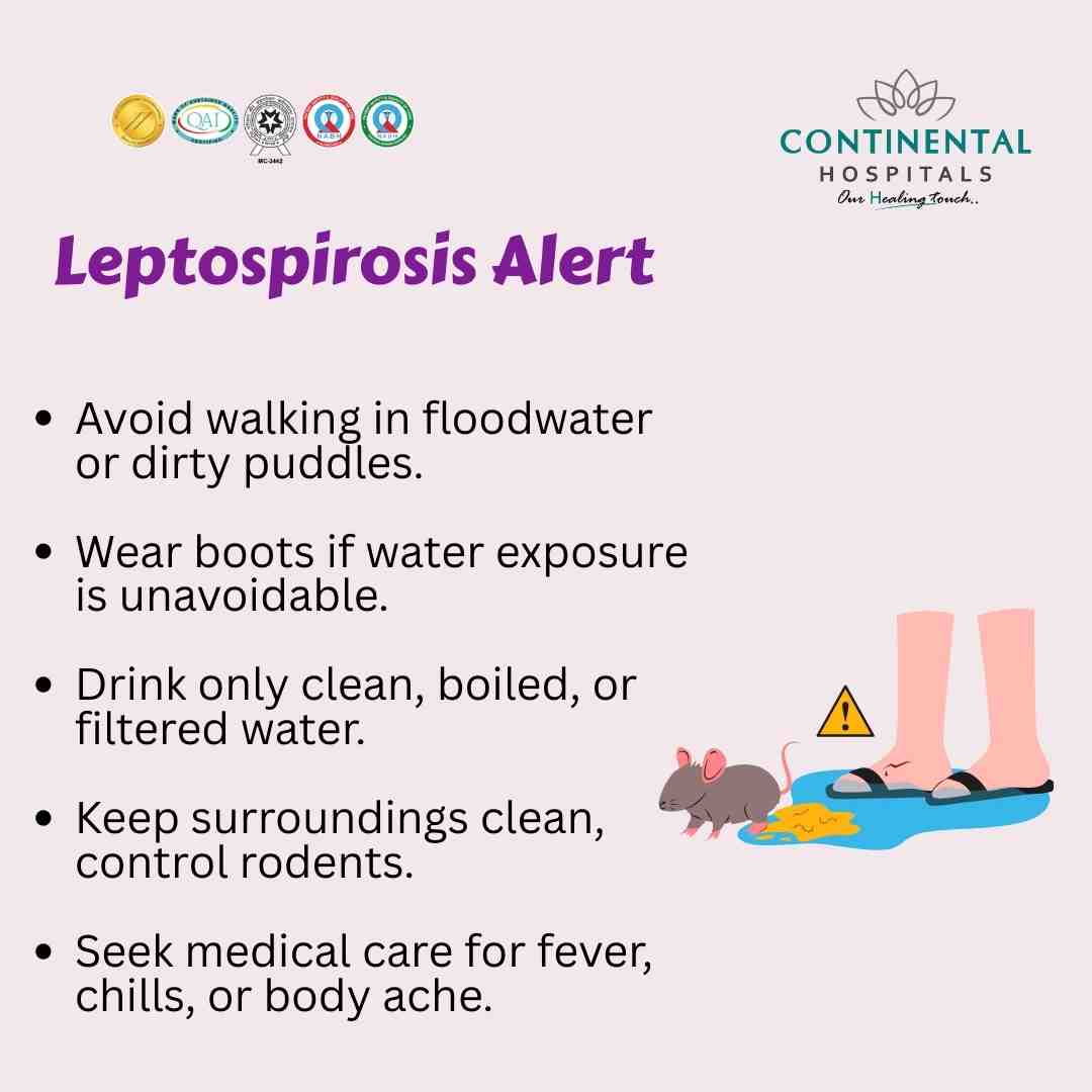 O Papel da Nutrição no Fortalecimento do Corpo contra Doenças - inspiração 1