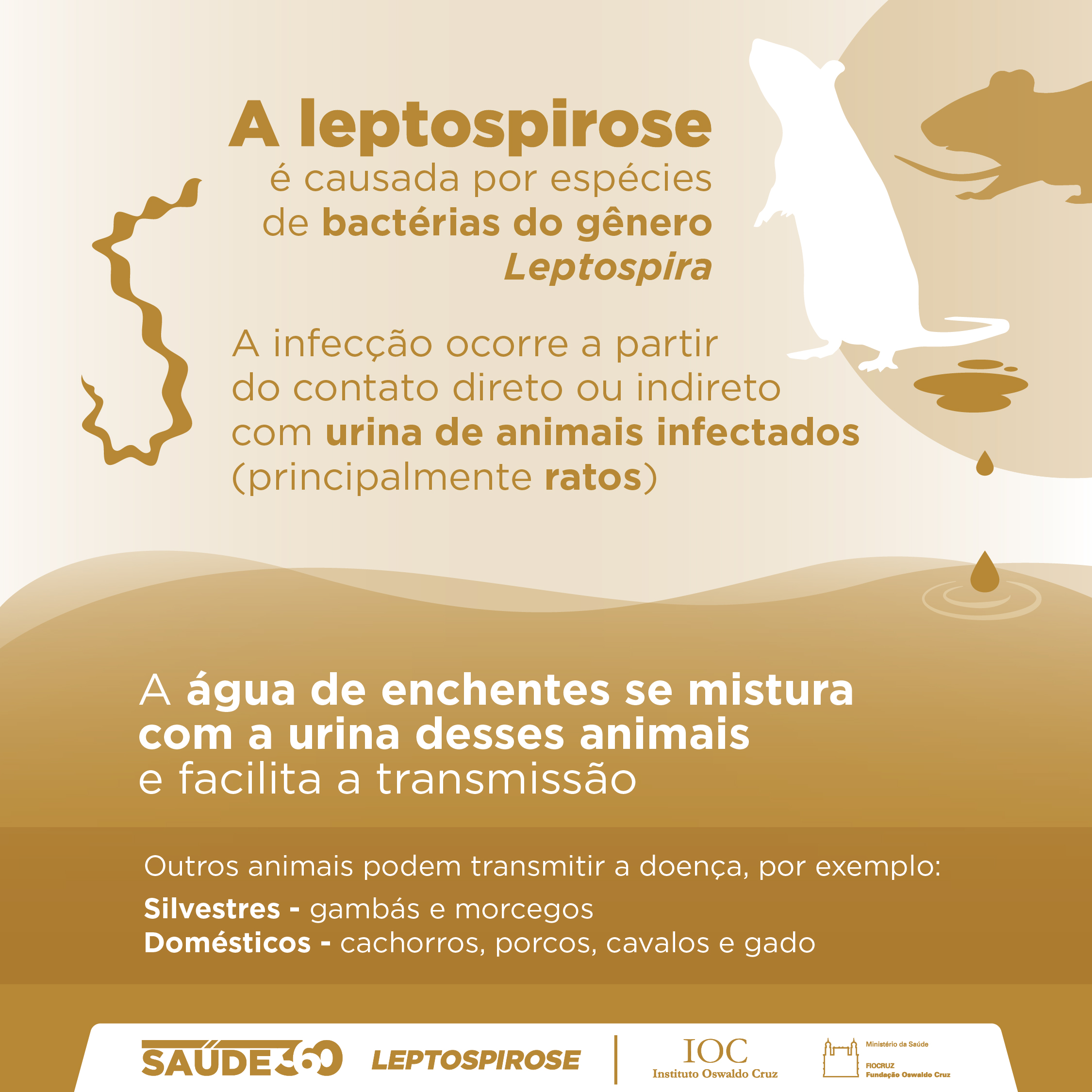 O Papel da Nutrição no Fortalecimento do Corpo contra Doenças - inspiração 2