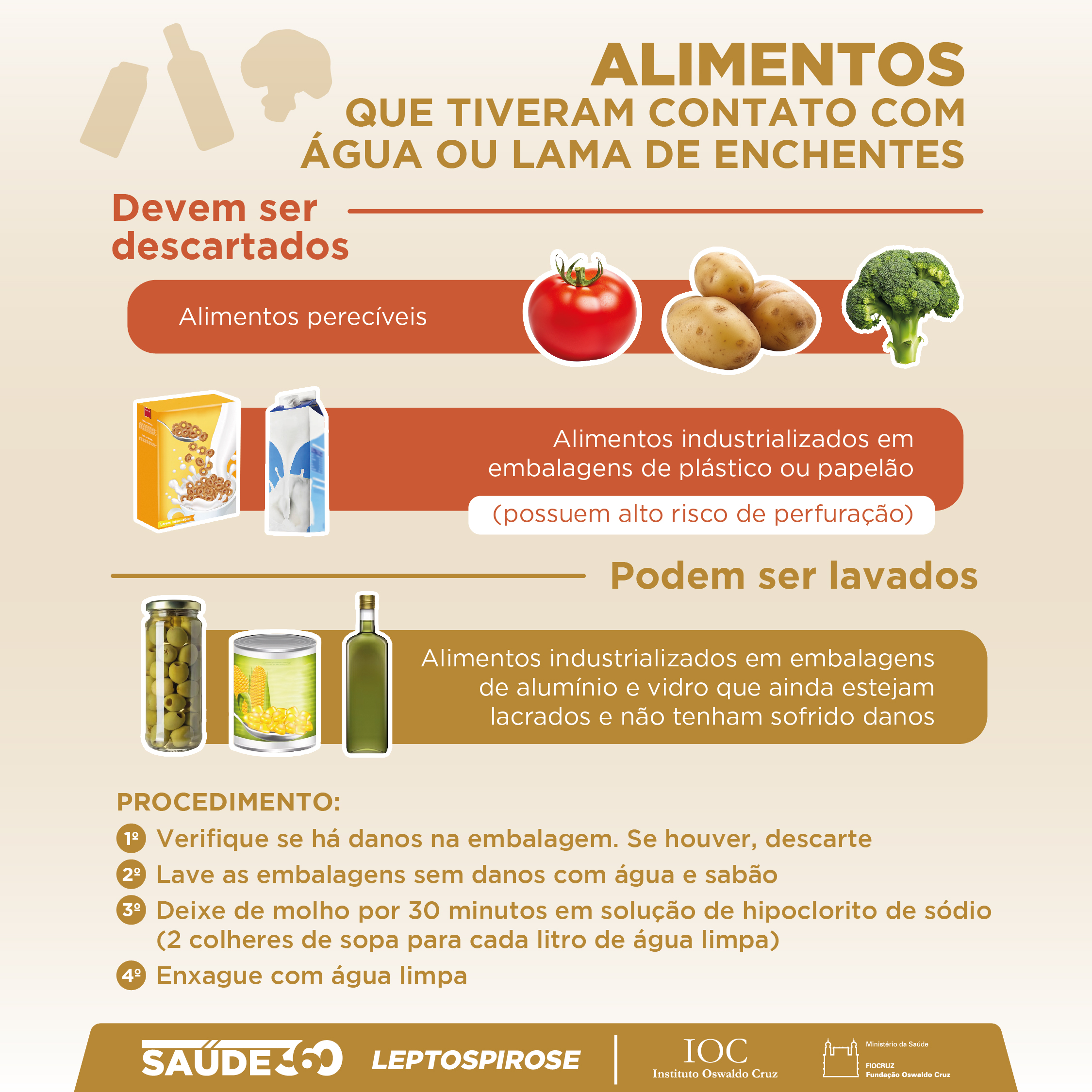 Alimentos Aliados: Reforçando suas Defesas Naturais - inspiração 1