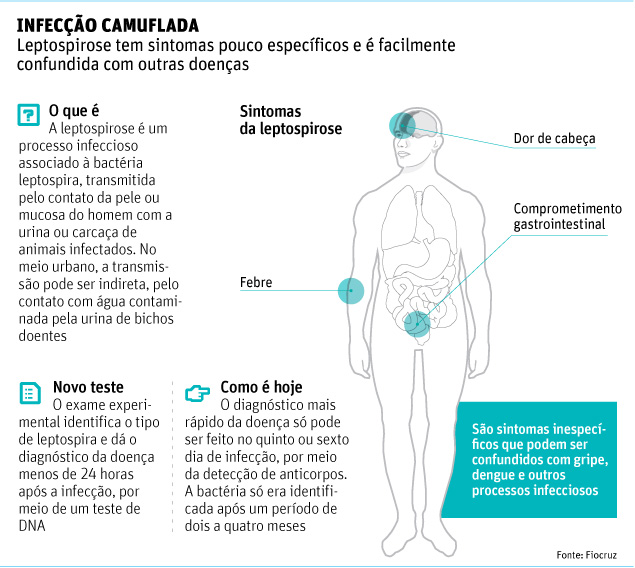 Alimentos Aliados: Reforçando suas Defesas Naturais - inspiração 2