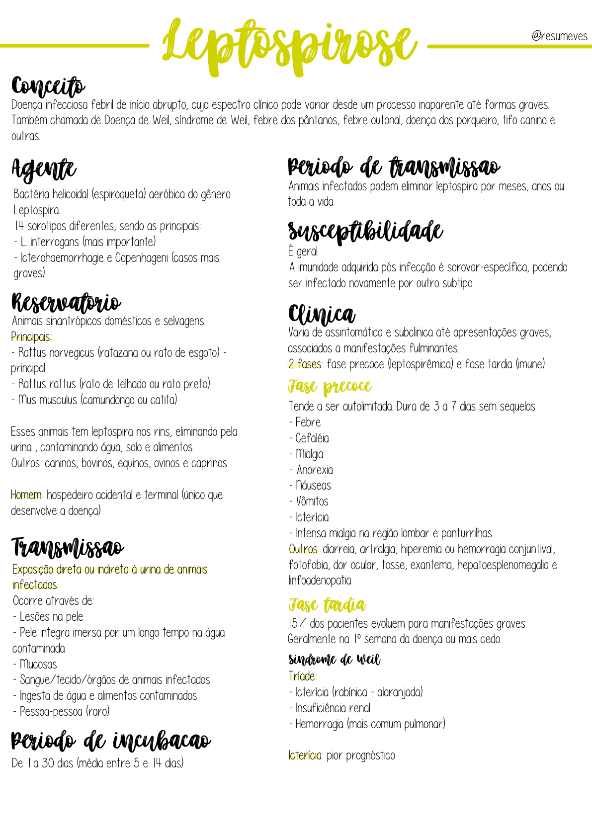 Cuidado com a Hidratação: A Importância da Água Pura - inspiração 2