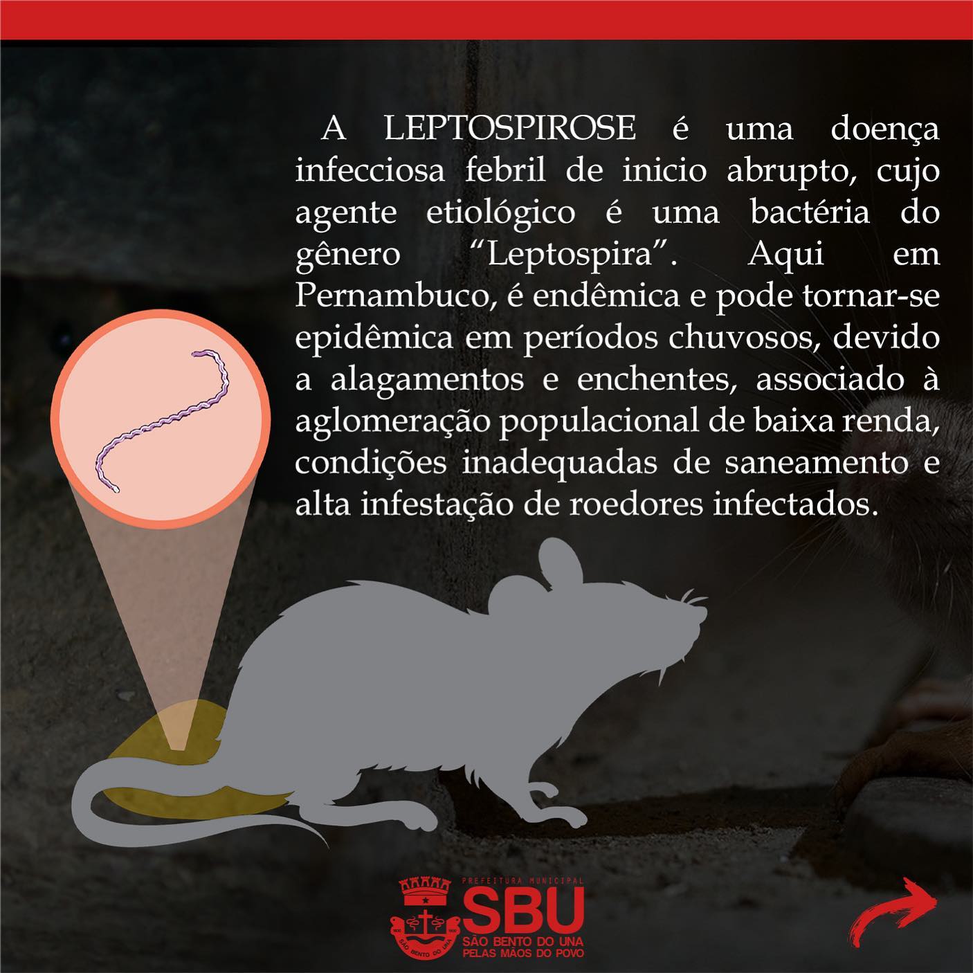 Frutas e Verduras: Fontes Ricas em Vitaminas Essenciais - inspiração 2