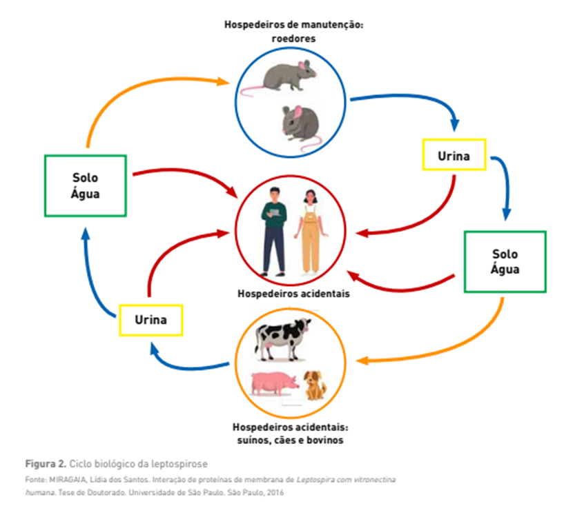 O Que Evitar: Alimentos que Podem Comprometer sua Saúde - inspiração 1