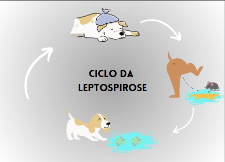 Como Montar um Cardápio Protetor no Dia a Dia - inspiração 2