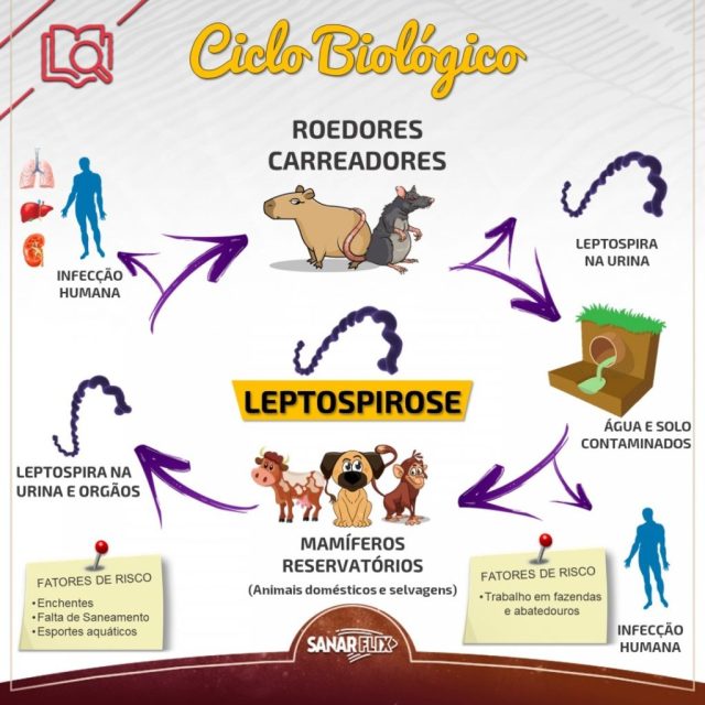 A Segurança Alimentar é Prioridade: Dicas Práticas - inspiração 1