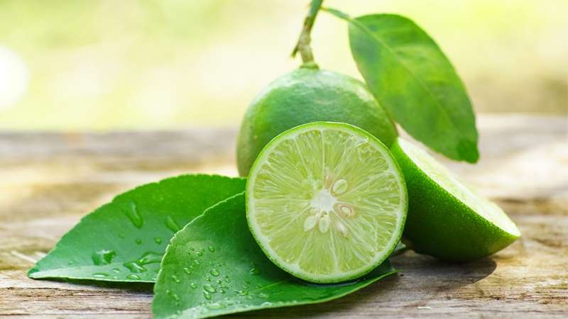 Revitalização Capilar: Brilho e Força com o Uso do Limão nos Cabelos - inspiração 2