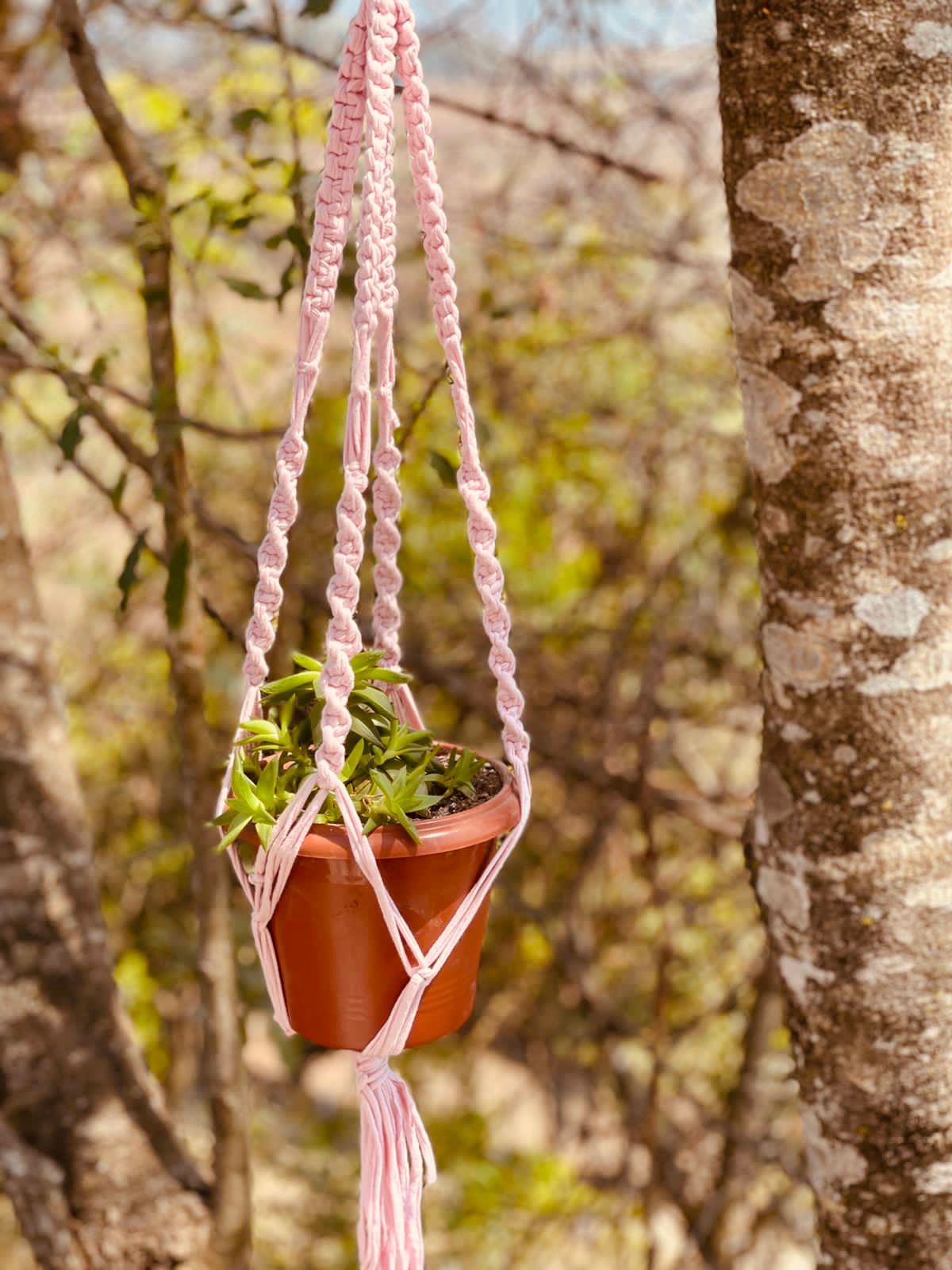 Tipos de Suportes e o Tamanho Ideal para Cada Vaso - inspiração 2