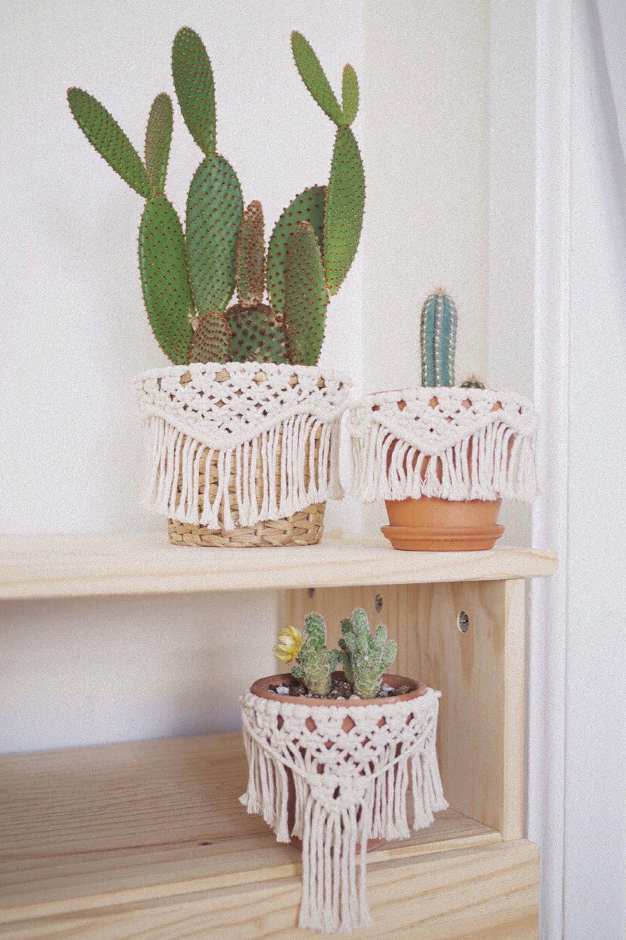 Macramê para Vasos de Suculentas e Cactos: Dicas Específicas - inspiração 2