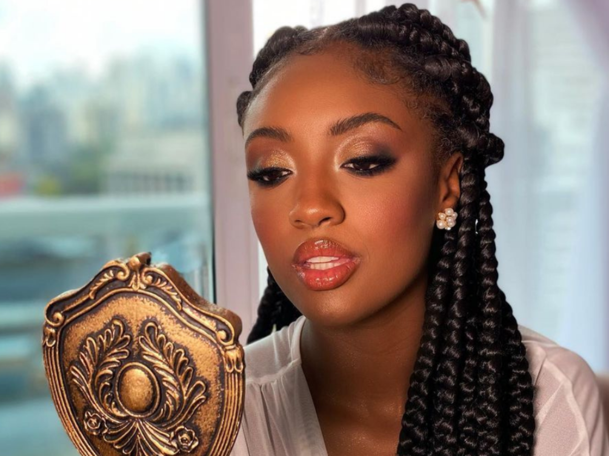 Blush: Um Toque de Cor Saudável e Vibrante - inspiração 2