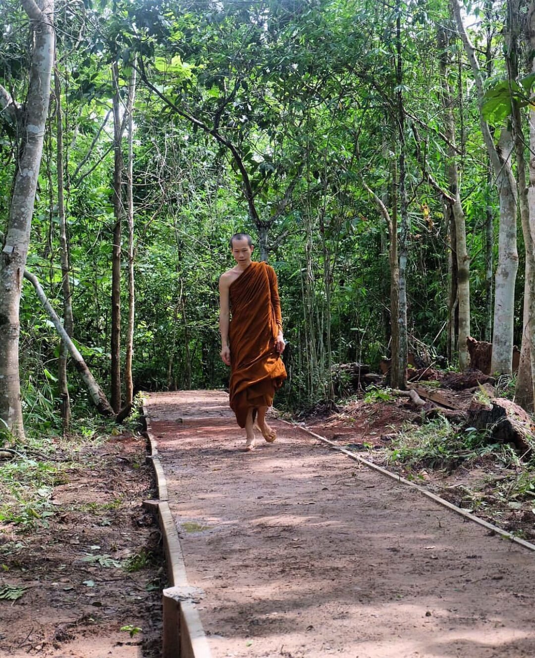 Observe Seus Pés em Movimento - inspiração 1