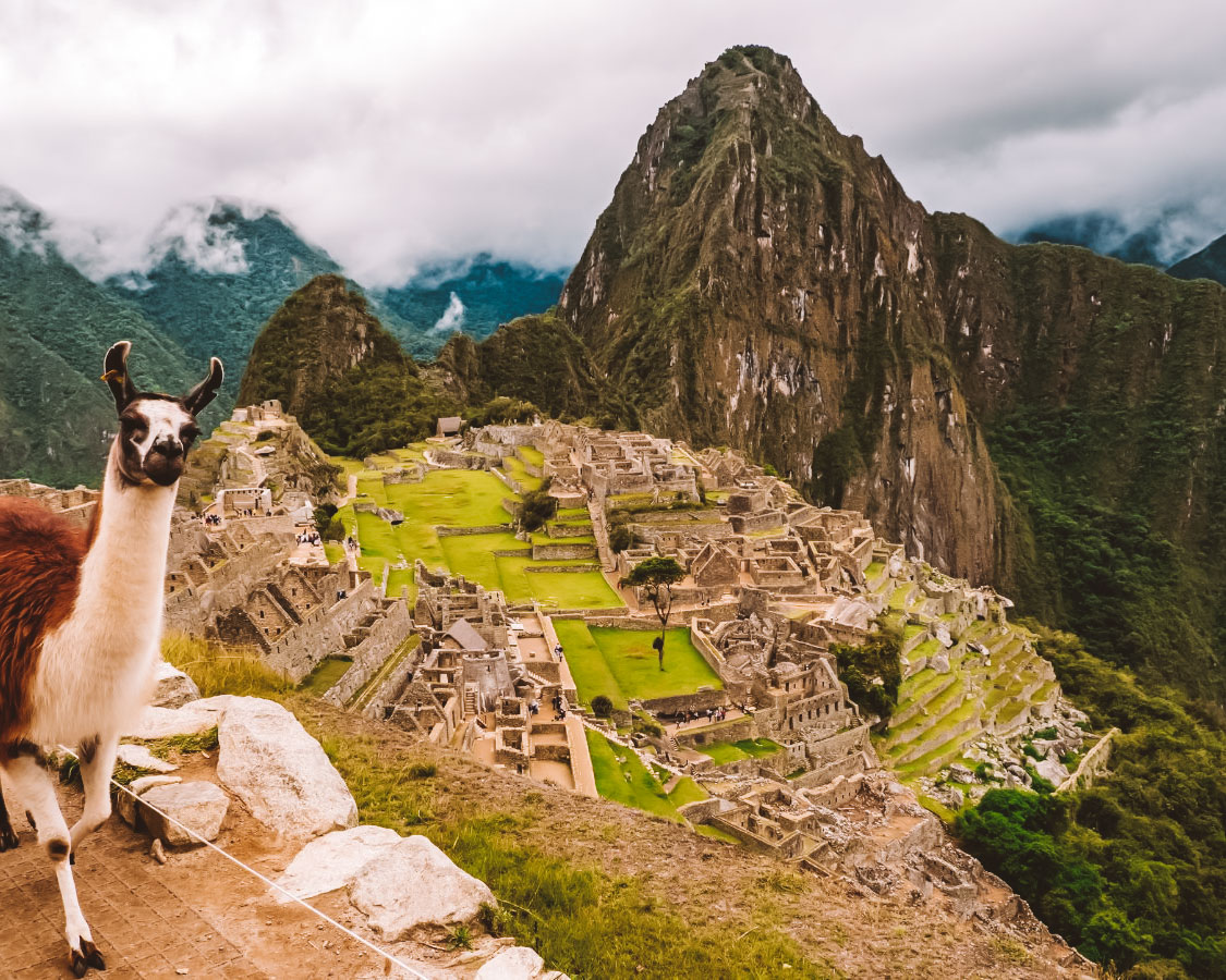 Galápagos, Equador: A Natureza em Seu Estado Mais Puro - inspiração 1