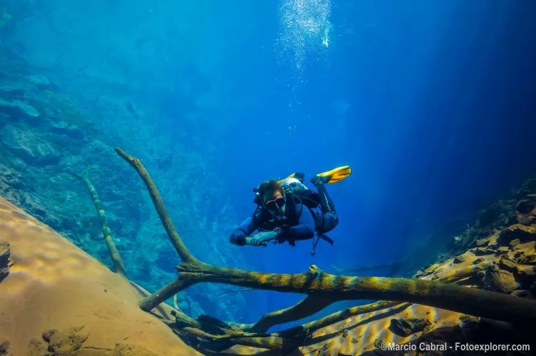 Ubatuba: A Capital do Mergulho em São Paulo - inspiração 1
