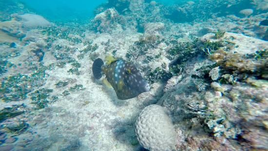 Ilha Grande: Tesouros Escondidos nas Águas da Costa Verde - inspiração 1