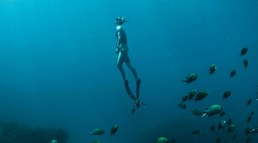 Praia do Forte: Encontros com Tartarugas e Biodiversidade - inspiração 1