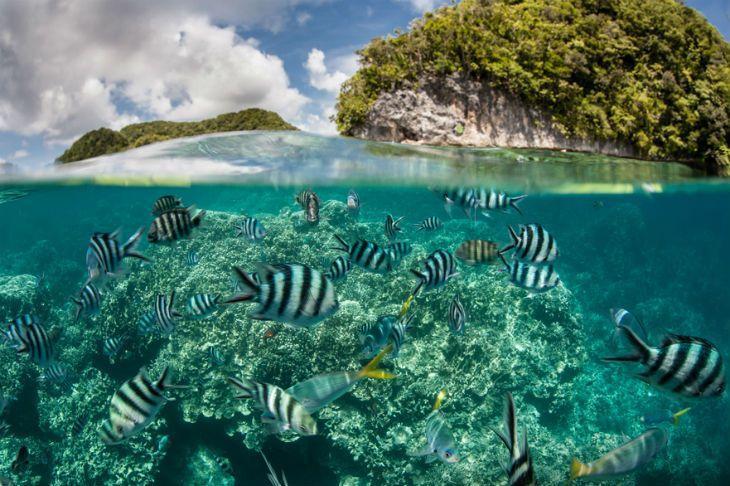 Praia do Forte: Encontros com Tartarugas e Biodiversidade - inspiração 2