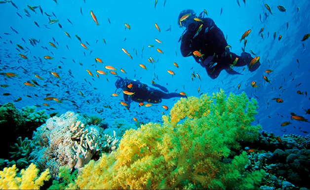 Recife e Porto de Galinhas: Naufrágios e Corais Vibrantes - inspiração 1