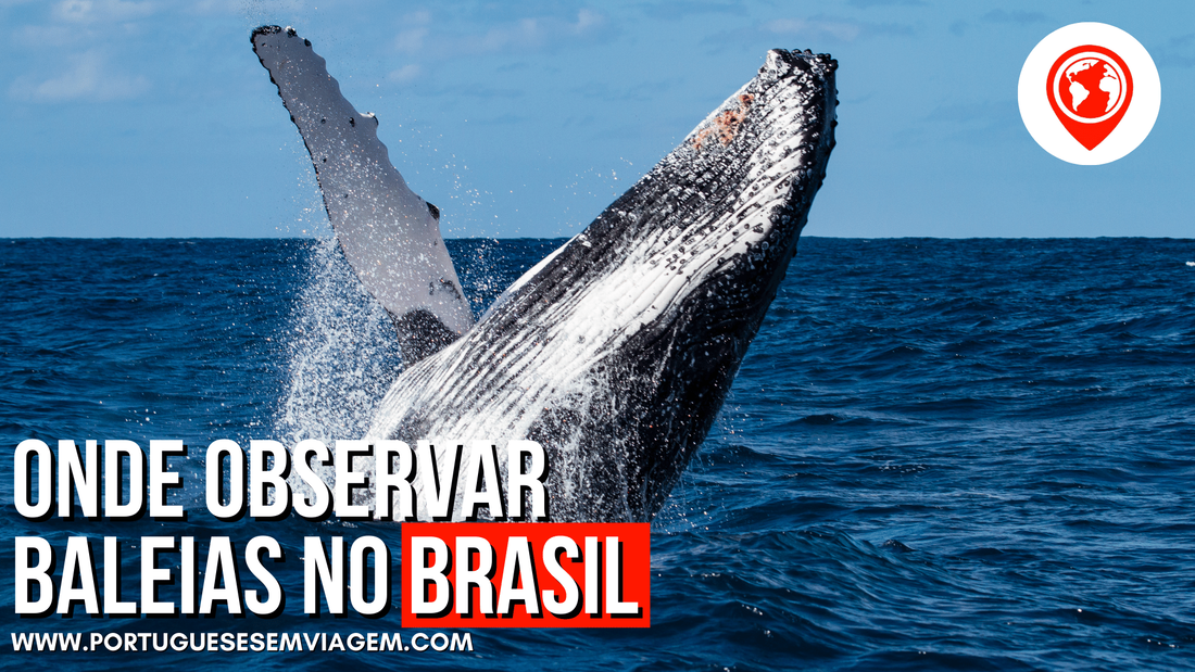 Ubatuba (SP): O Santuário das Baleias na Costa Norte - inspiração 2