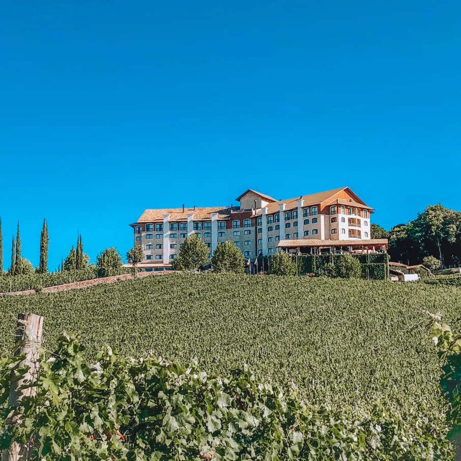 O Charme da Serra Gaúcha: Vale dos Vinhedos - inspiração 1