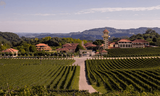 O Charme da Serra Gaúcha: Vale dos Vinhedos - inspiração 2