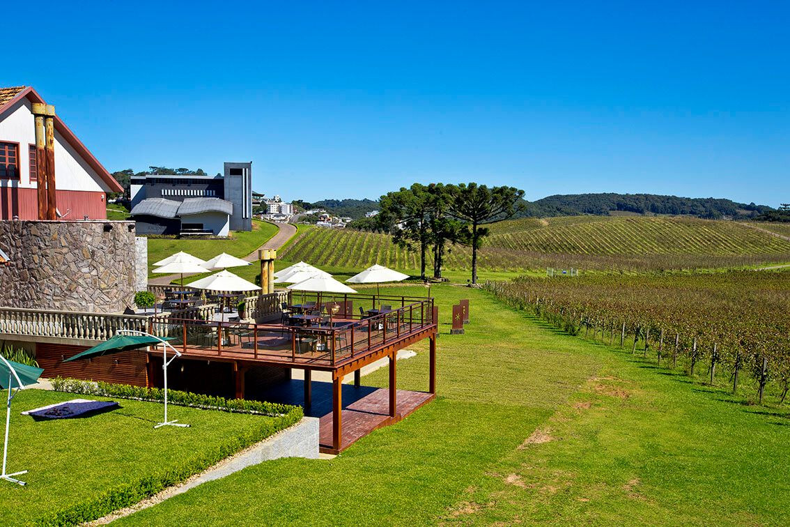 A Nova Fronteira do Vinho: Planalto Catarinense - inspiração 1