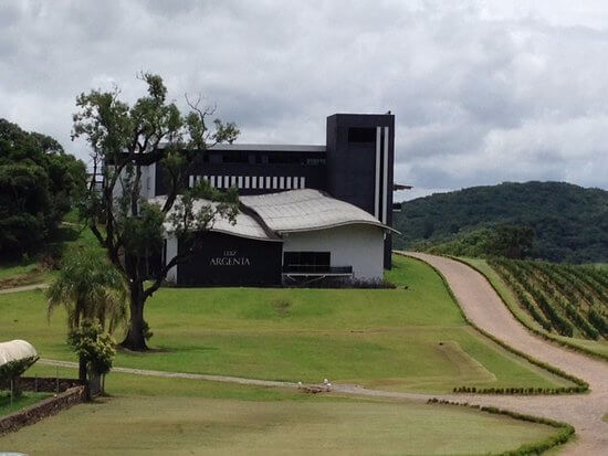 A Nova Fronteira do Vinho: Planalto Catarinense - inspiração 2