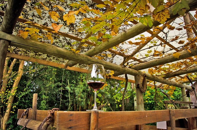 Vinhos de Altitude: A Surpreendente Região de São Joaquim - inspiração 2