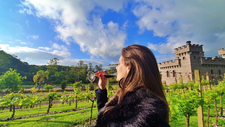 O Sabor Único do Nordeste: Vinícolas em Pernambuco - inspiração 1