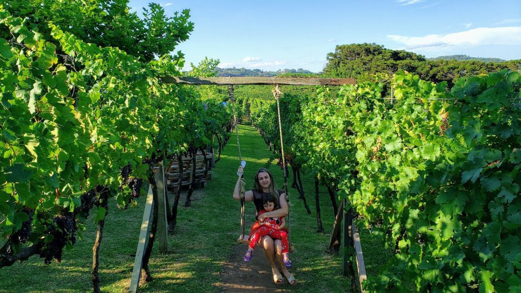 Além do Rio Grande do Sul: Outras Regiões Promissoras - inspiração 2