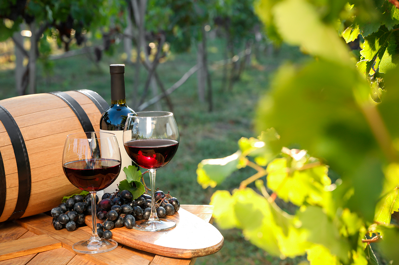 Degustação Consciente: Como Aproveitar ao Máximo - inspiração 1