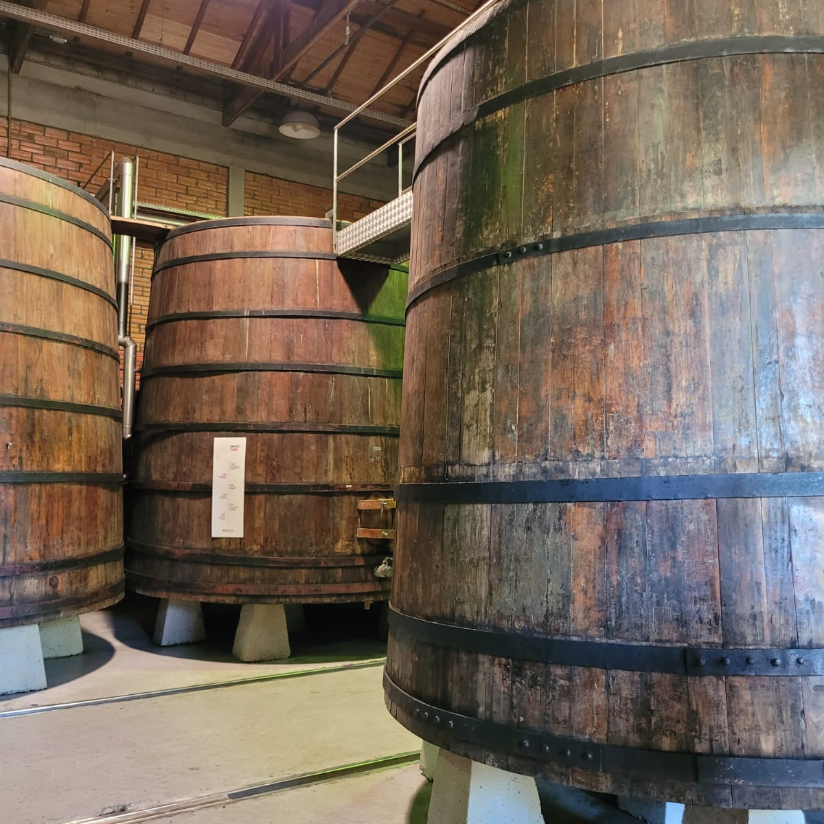 Harmonização Perfeita: O Que Acompanha Seu Vinho Brasileiro - inspiração 2