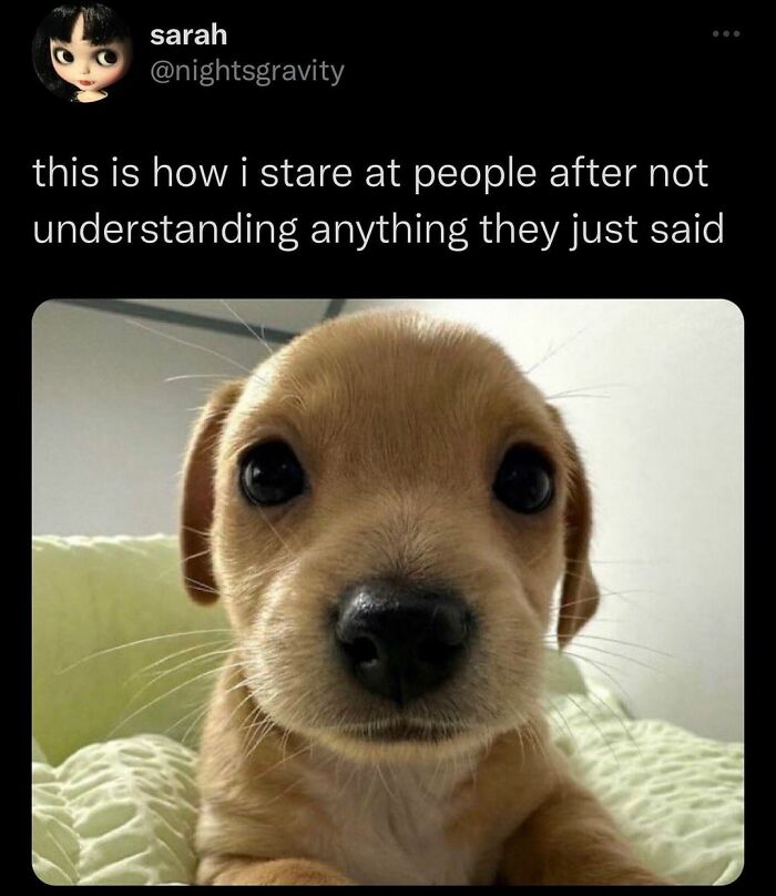 Anatomia de um Meme de Sucesso: O Que Realmente Funciona? - inspiração 1