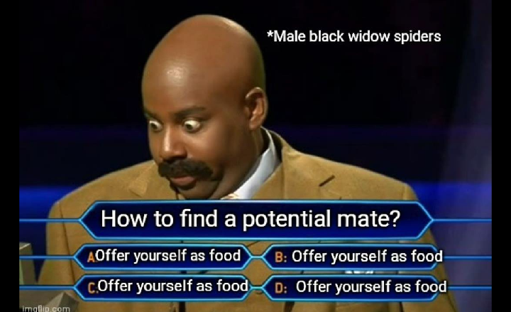 A Psicologia por Trás da Risada: Por Que Rimos com Memes? - inspiração 2