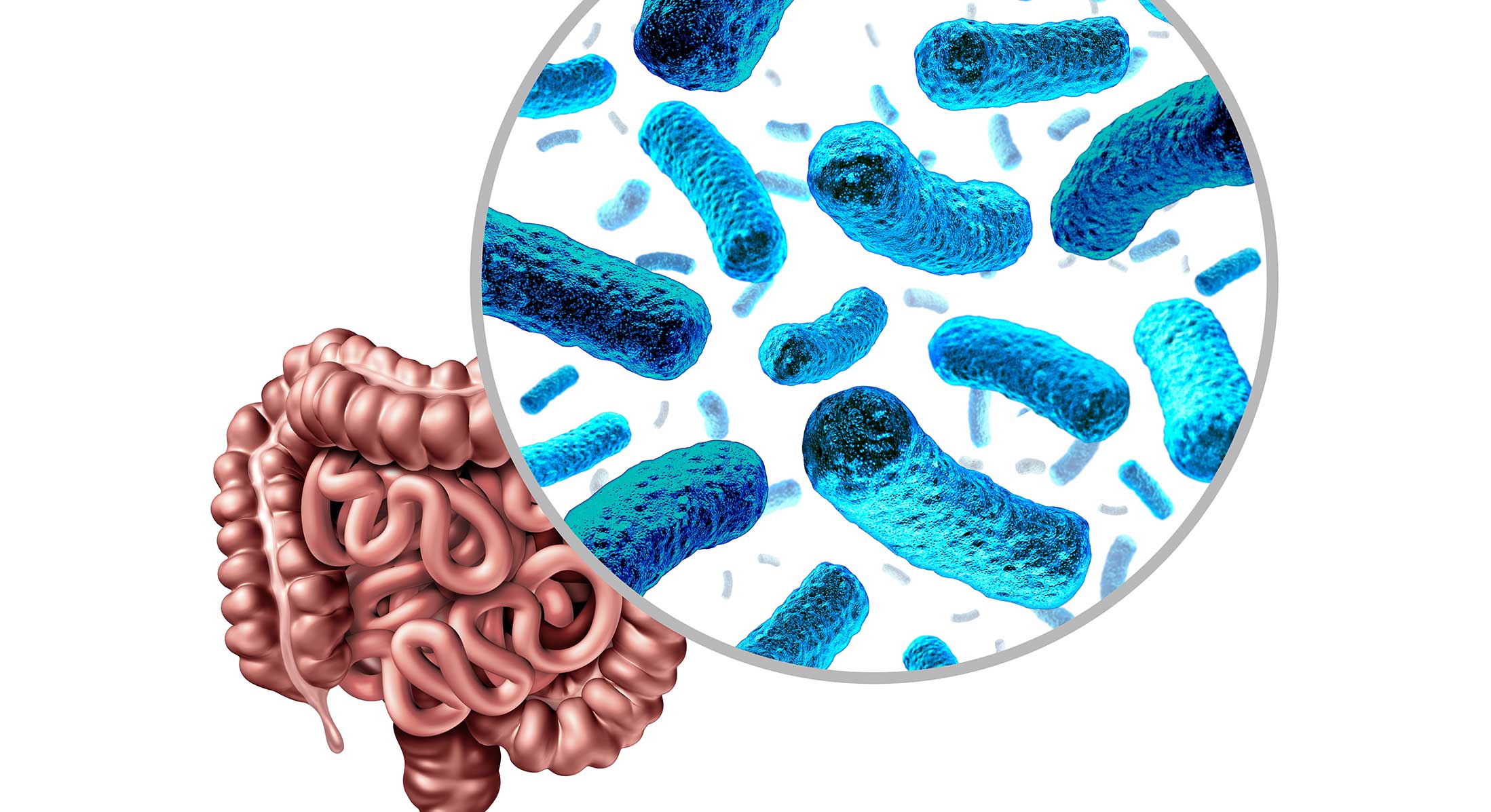 O Que é a Microbiota e Por Que Ela Importa Tanto? - inspiração 2
