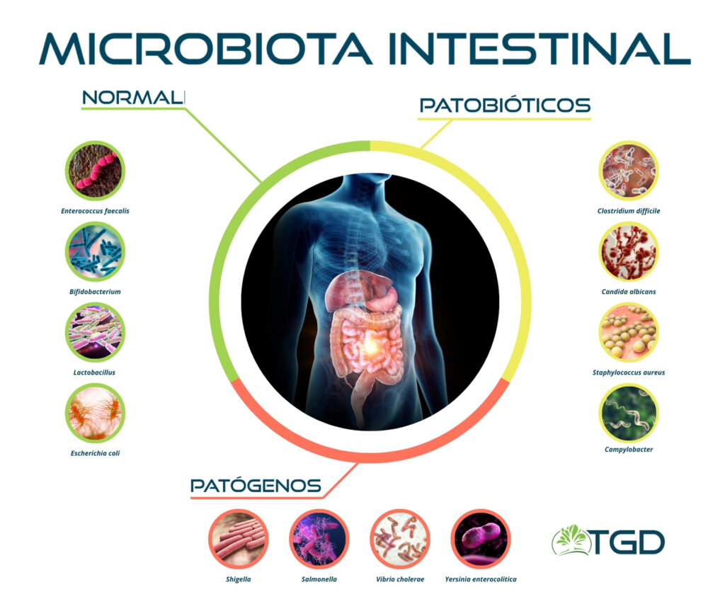 Como Perceber os Sinais de Alerta da Sua Microbiota - inspiração 1