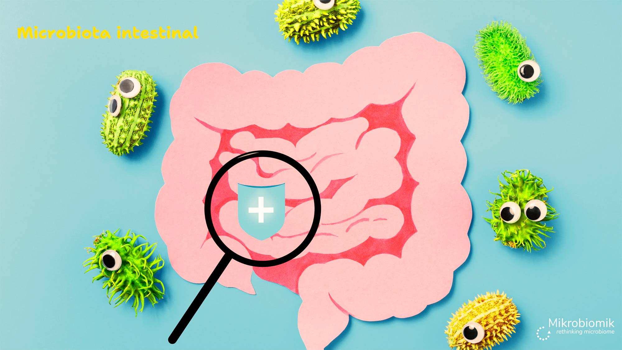 Probióticos e Prebióticos: Entendendo a Dupla Dinâmica - inspiração 2