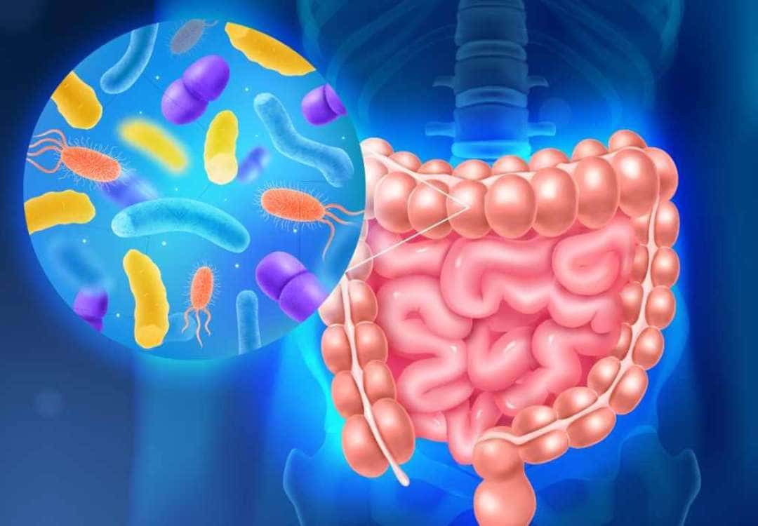 O Impacto do Estresse e do Sono na Sua Microbiota - inspiração 2