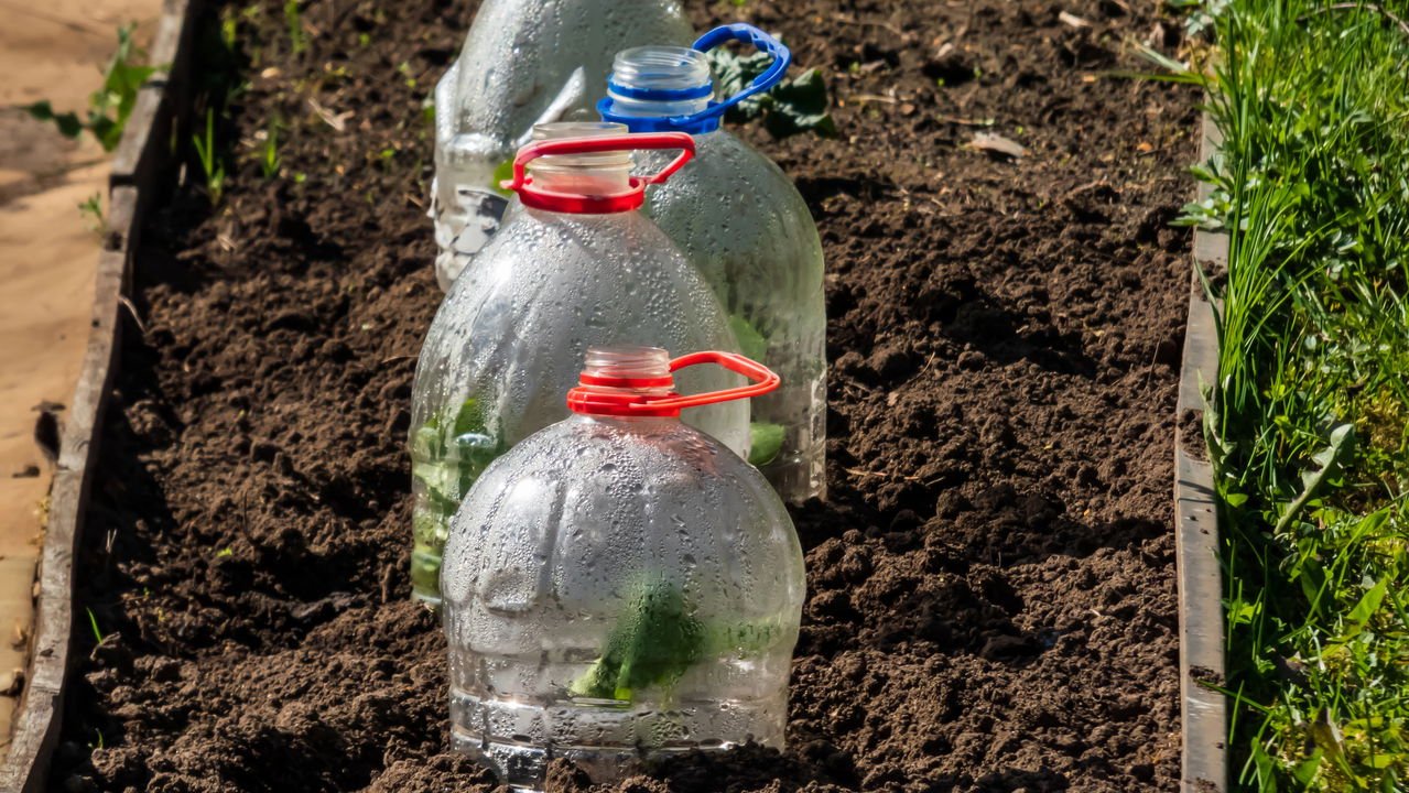 Por Que Criar Sua Própria Mini Estufa? - inspiração 1