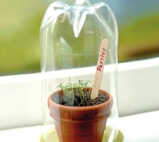 Por Que Criar Sua Própria Mini Estufa? - inspiração 2