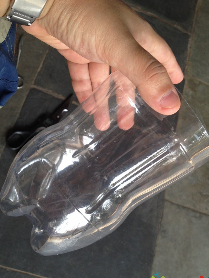 Benefícios de Ter uma Mini Estufa em Apartamentos - inspiração 2