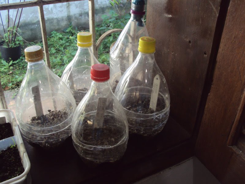 Posicionamento Ideal: Onde Colocar Sua Estufa Caseira - inspiração 1