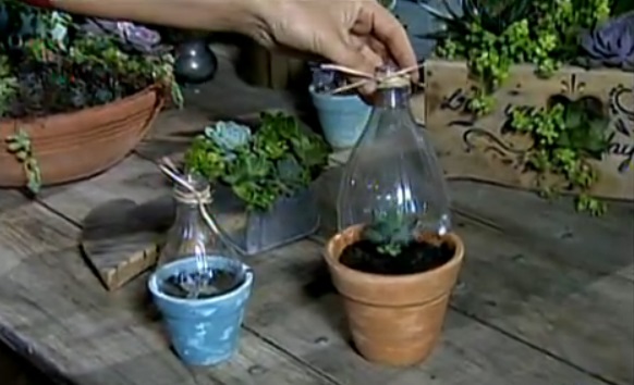 Posicionamento Ideal: Onde Colocar Sua Estufa Caseira - inspiração 2